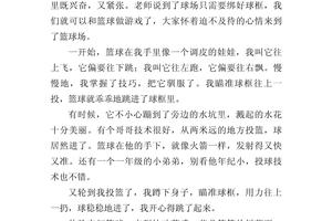 训练篮球的过程,作文